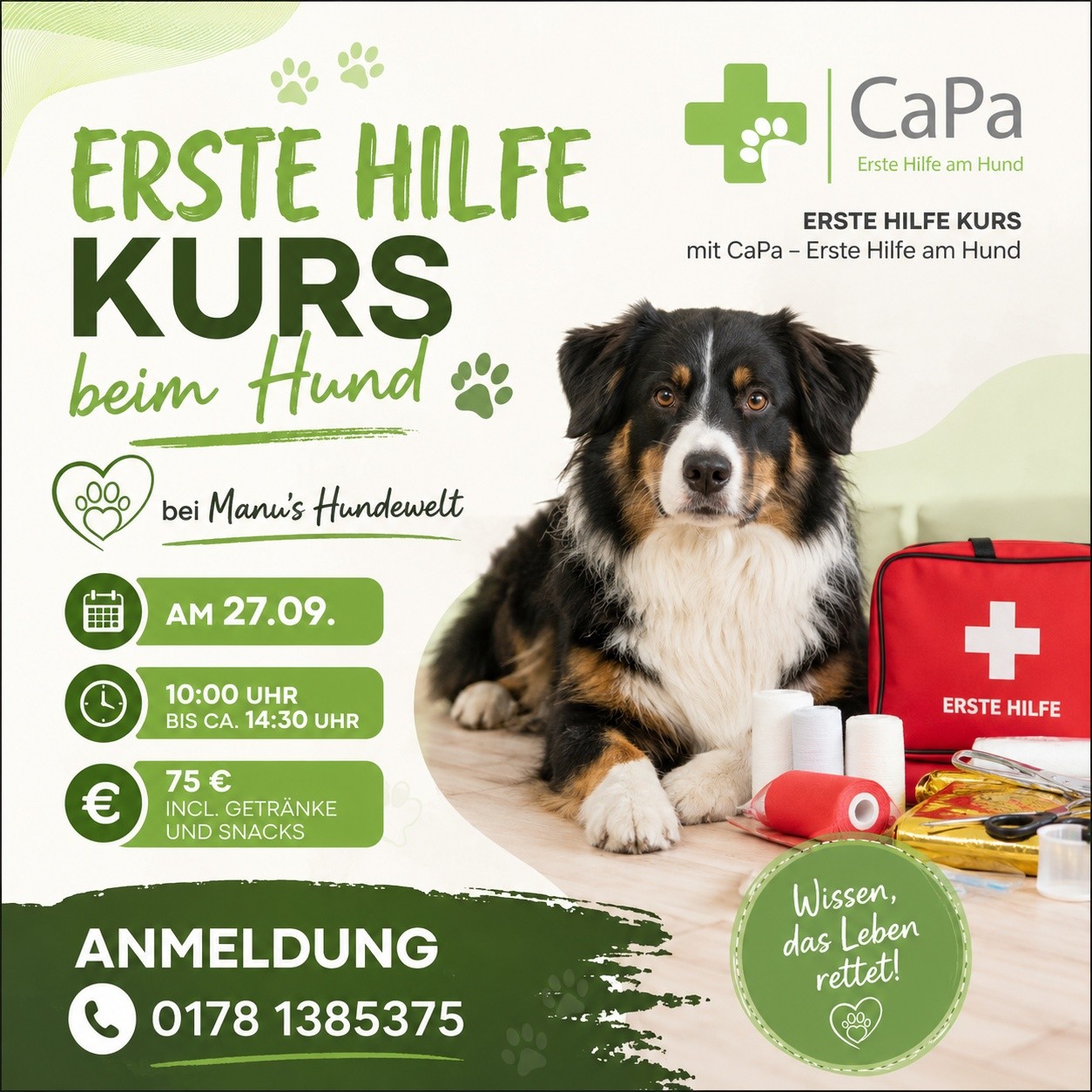 Erste Hilfe Kurs beim Hund